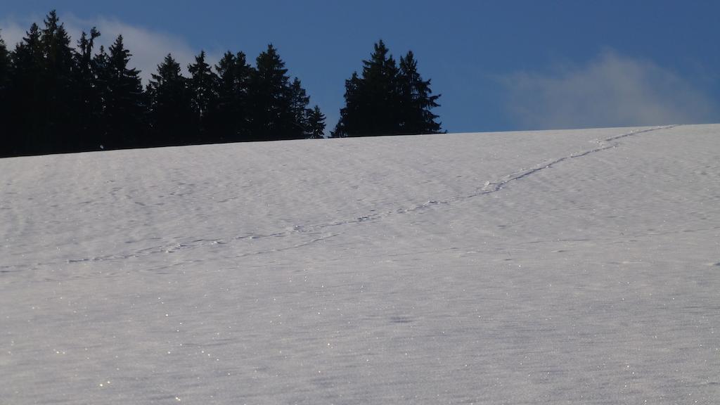 Andreas Creglingen Exterior foto